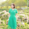 Váy đầm cổ bẻ hàng cúc bọc Teal 1